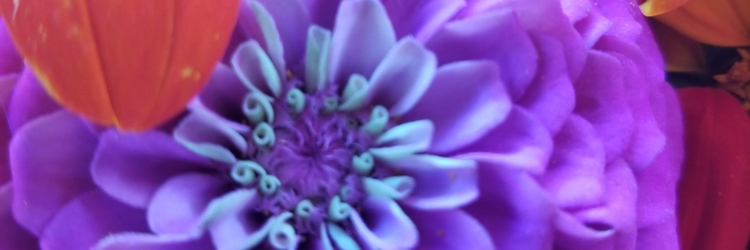 MikeDeLaMichael's profile banner image