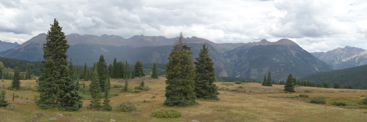 Vegetable oil kills people slowly banner