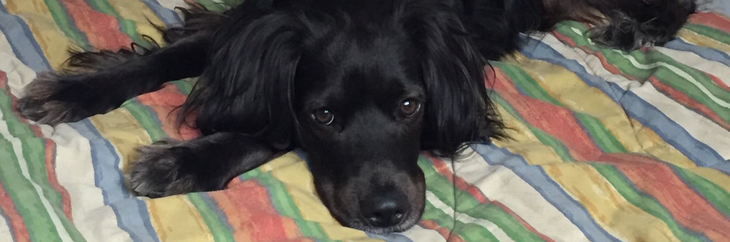 ConsueloTelloO's profile banner image