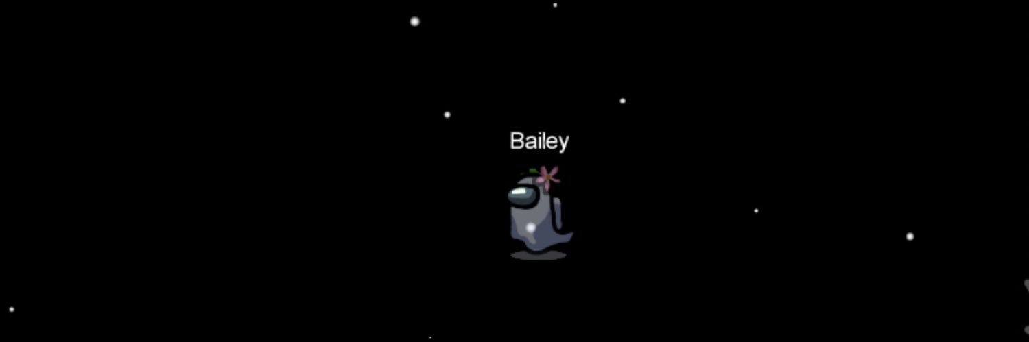 Bailey O’Connor banner