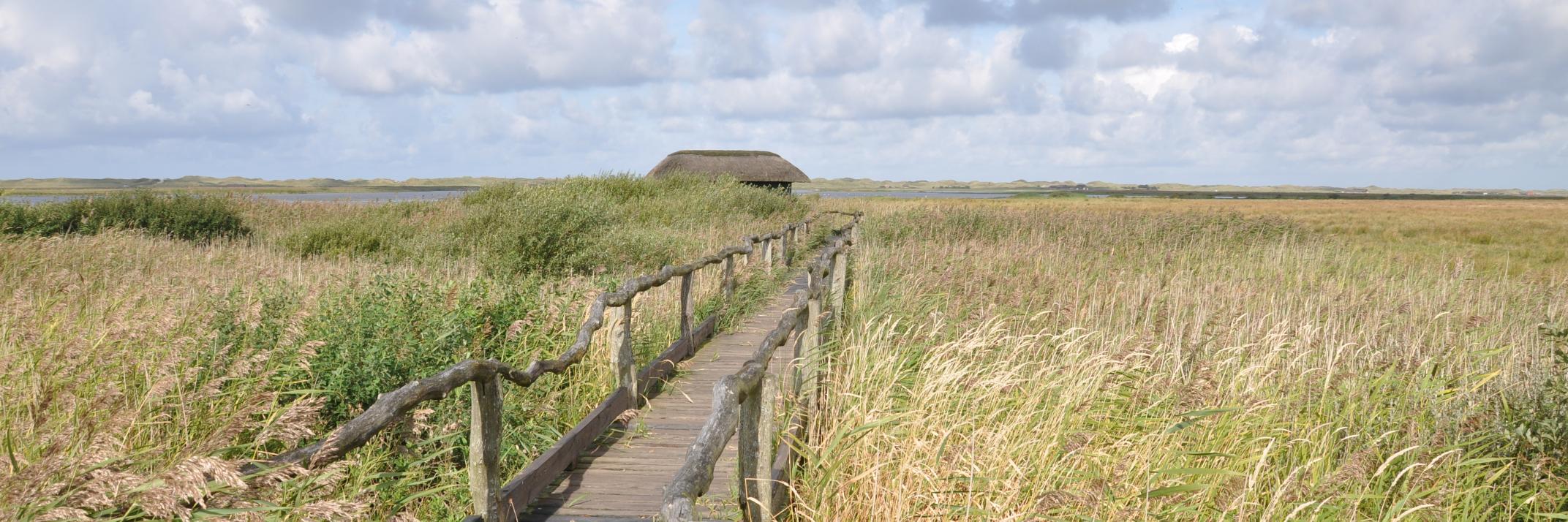 (((Jörg Prante))) banner