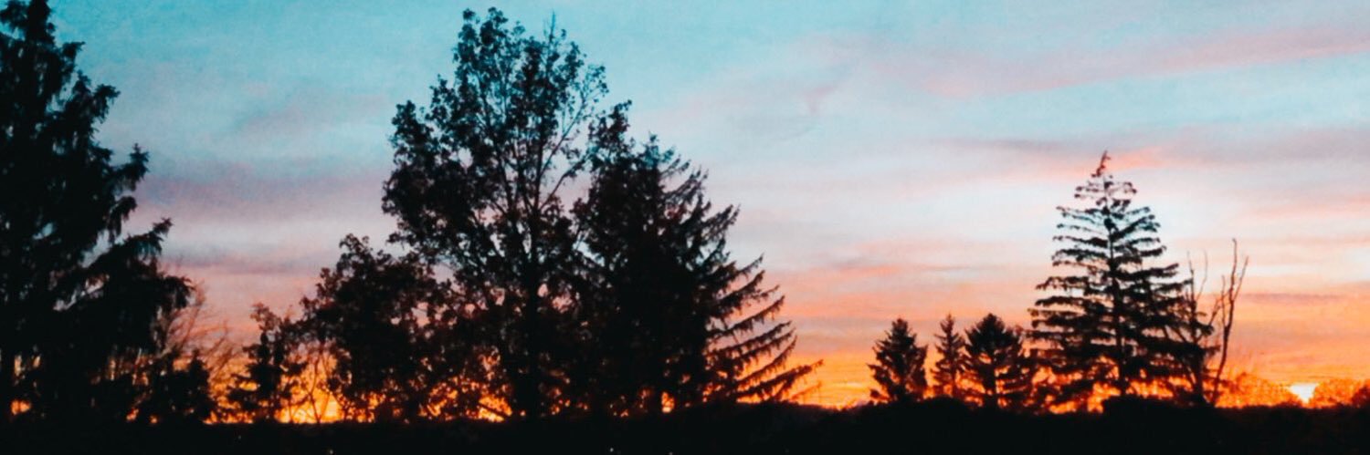 _laurenn11's profile banner image