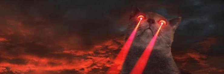 _haills's profile banner image