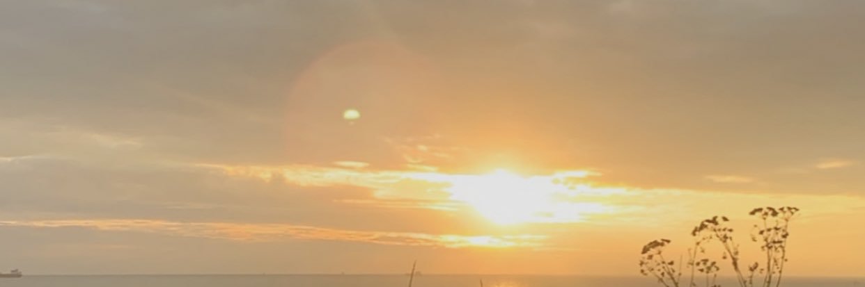 SashaBreed's profile banner image