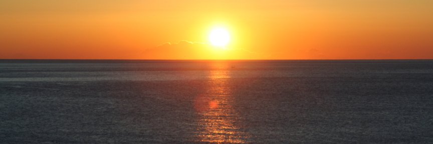 gusmorilla's profile banner image