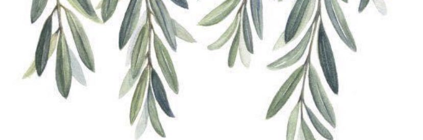 ChandlerFaaye's profile banner image