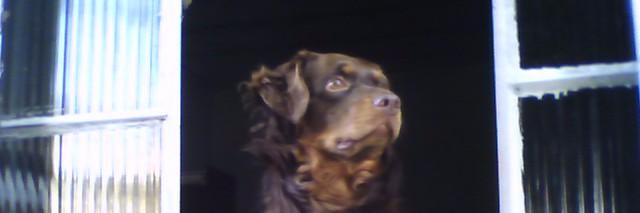 Ander e Kelly banner