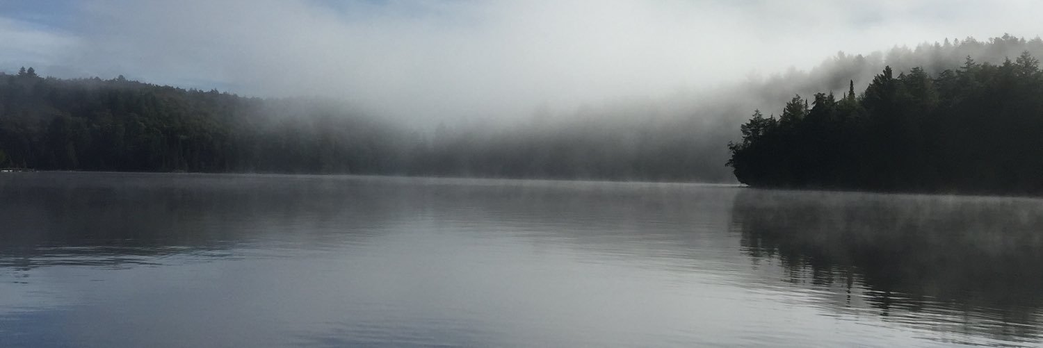 BederSyd's profile banner image