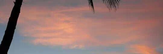 debbiecasey3's profile banner image