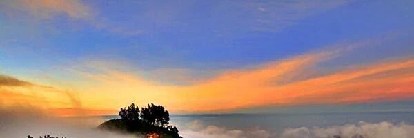 Nyoman banner