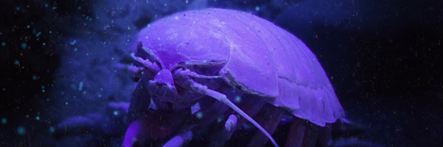 (福) Jeff Day banner