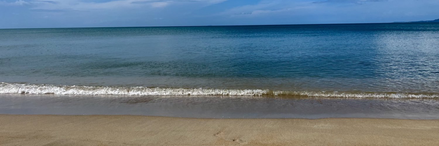 Elimar 🇵🇷🍉✝️🐶🐈‍⬛'s banner
