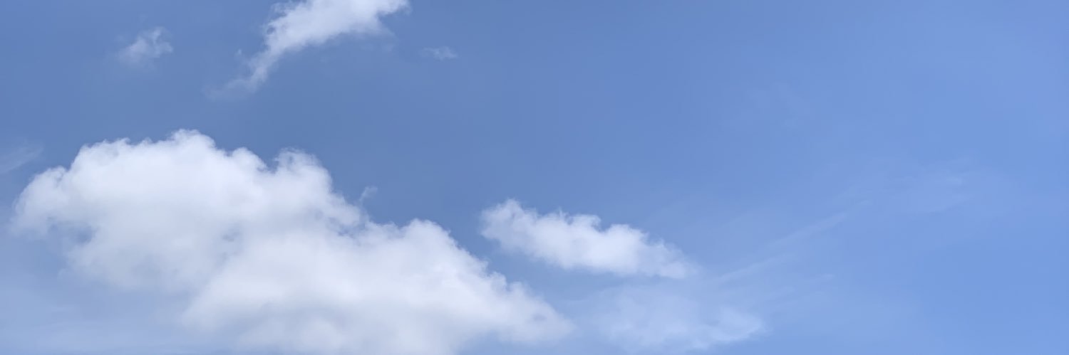 linasfia's profile banner image