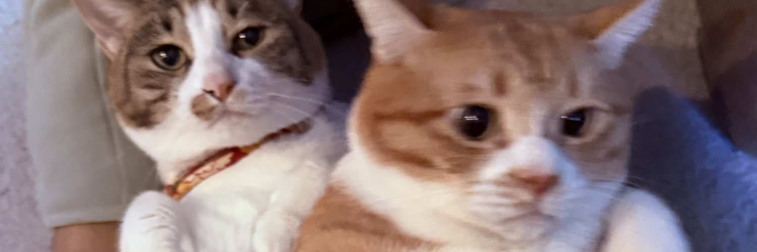 zipless404's profile banner image