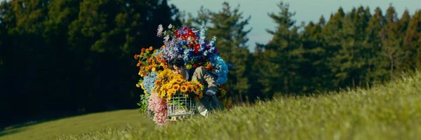 zornitsaxx Profile Banner