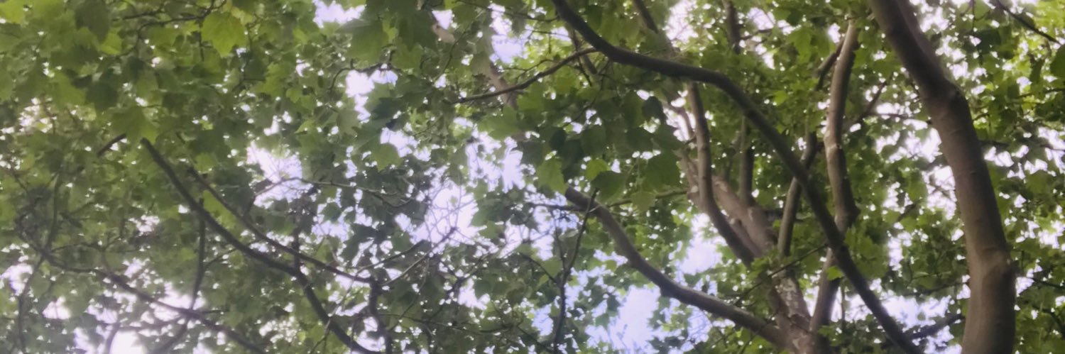 Bubbleskush's profile banner image