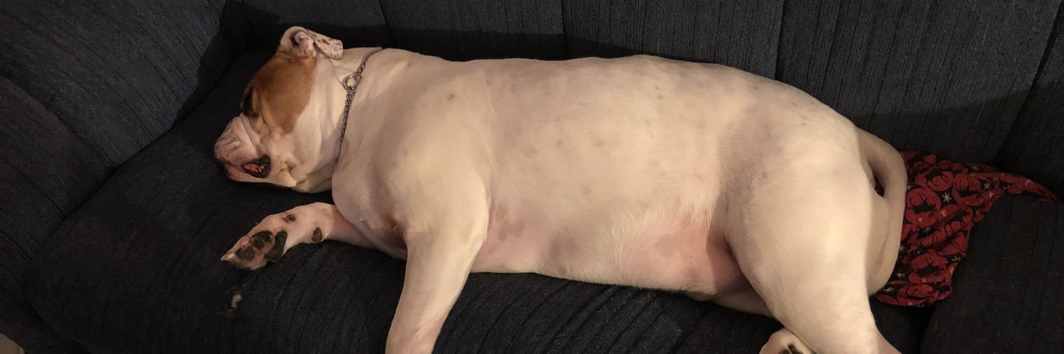 ThePoorboyX's profile banner image