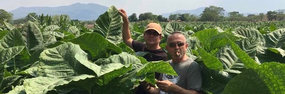 Elogio_Cigars's profile banner image