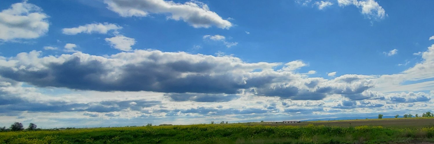 tanyaleetweets's profile banner image
