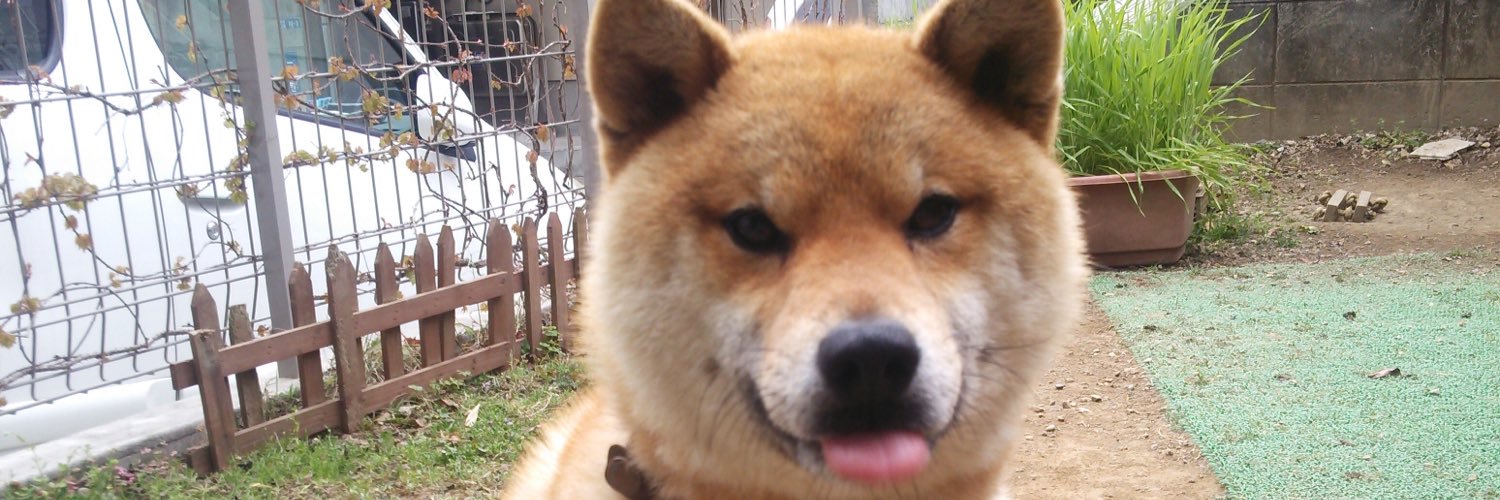 sisihisa's profile banner image