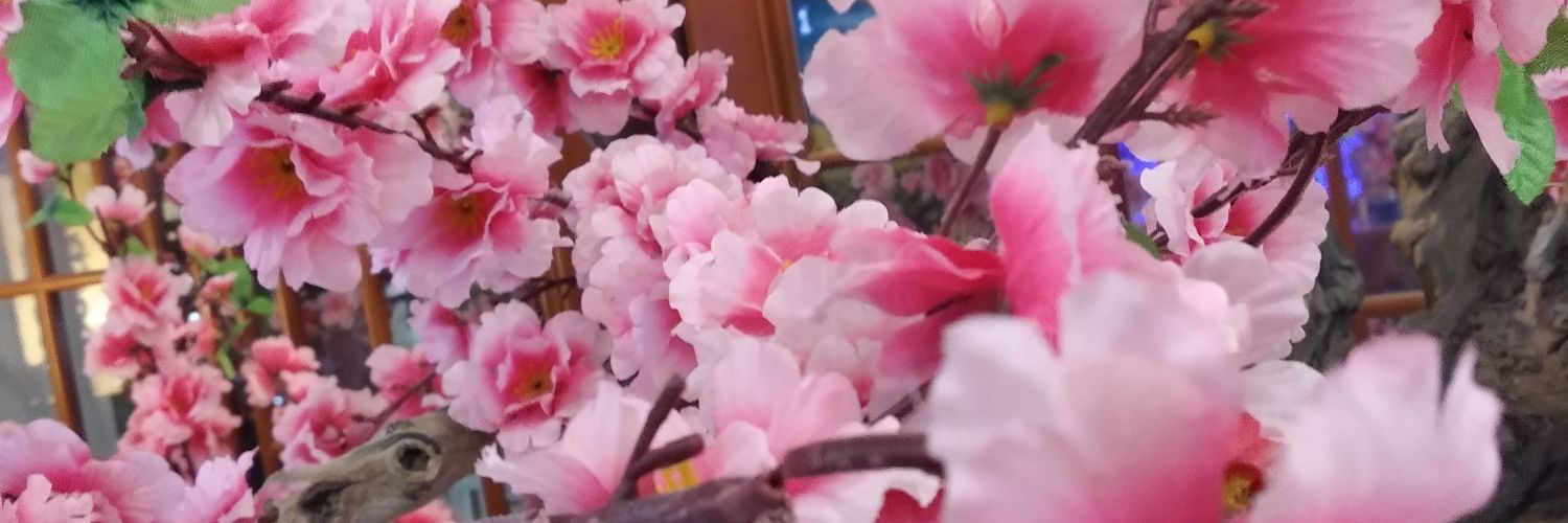 imfornone's profile banner image