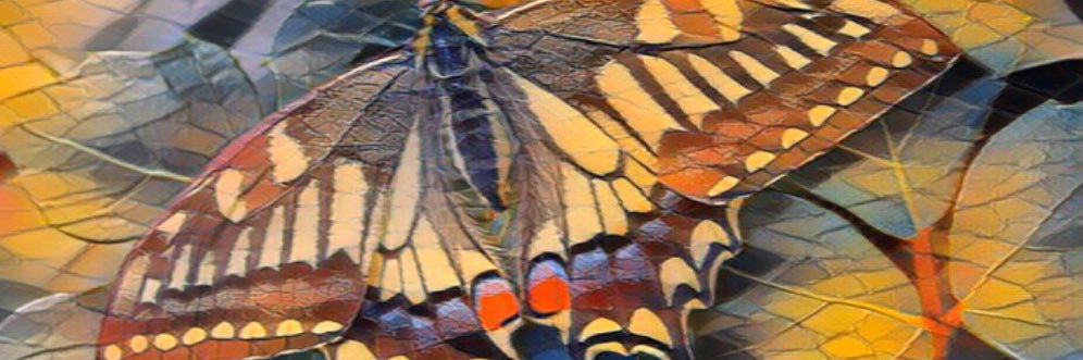 joyzucker's profile banner image