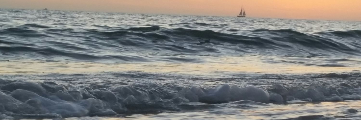 LEXrex_65's profile banner image