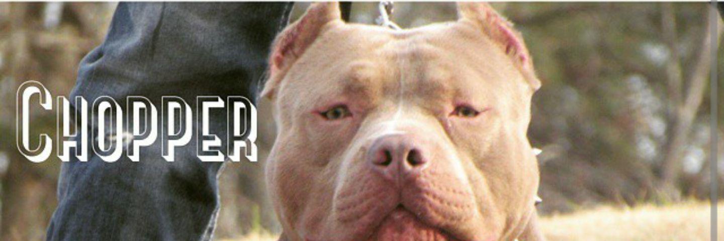 URGIFT's profile banner image