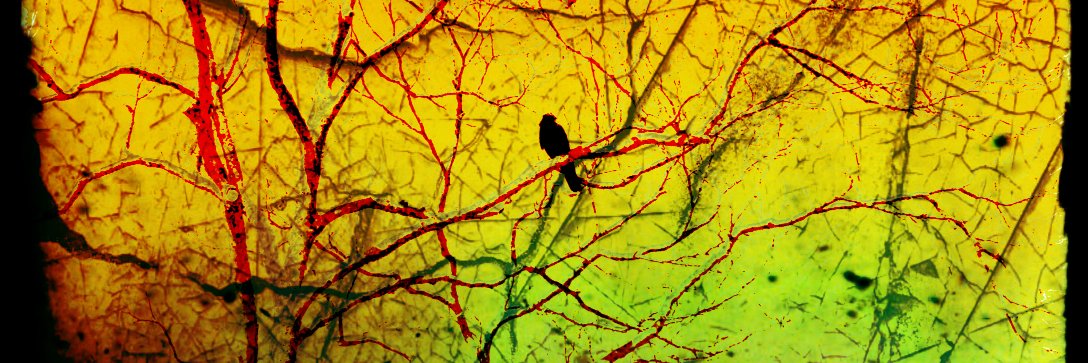 IntricateKnot1's profile banner image