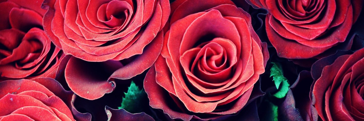 BeckalouDarling's profile banner image