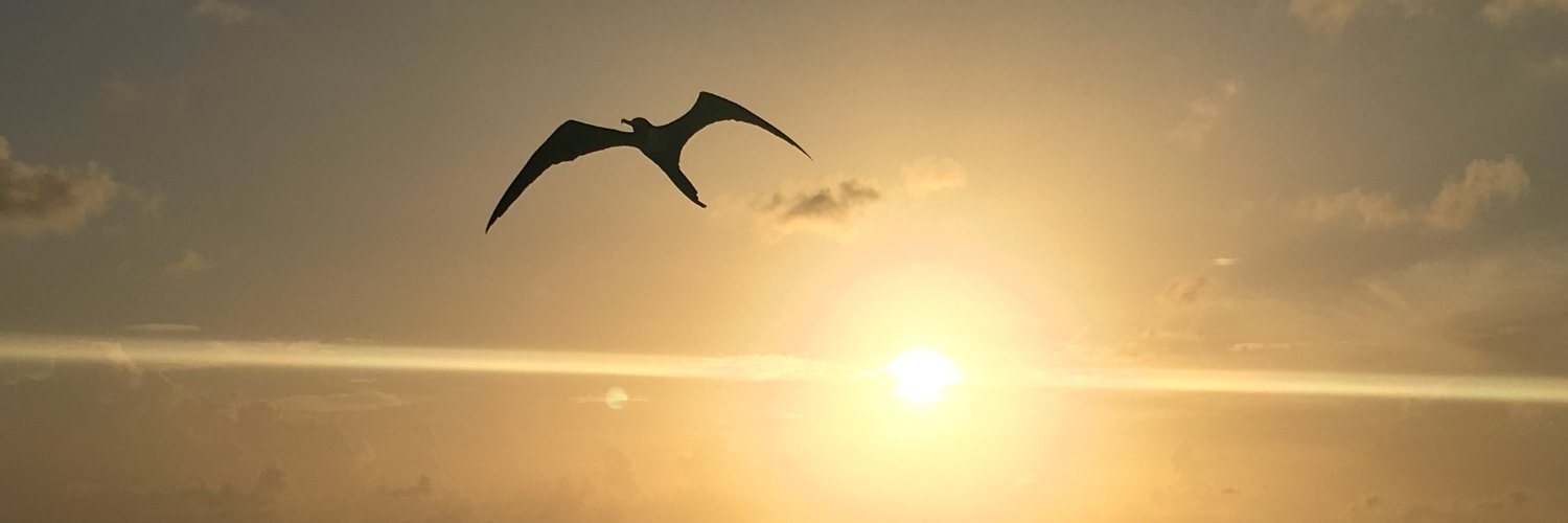 pper72's profile banner image