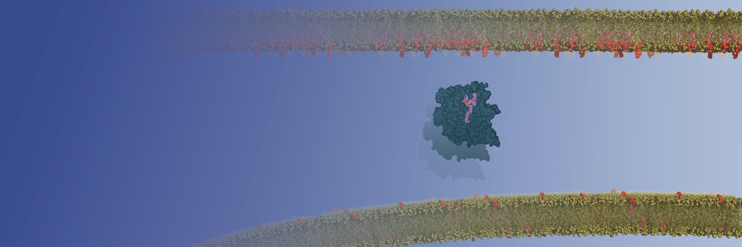 LeFilozoaire's profile banner image