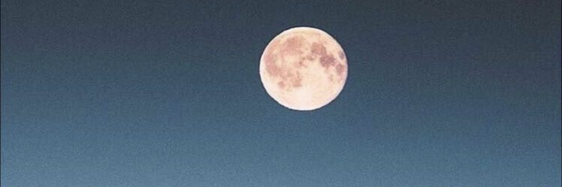 14668z's profile banner image