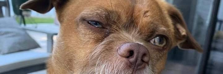 cpsgustavocps's profile banner image
