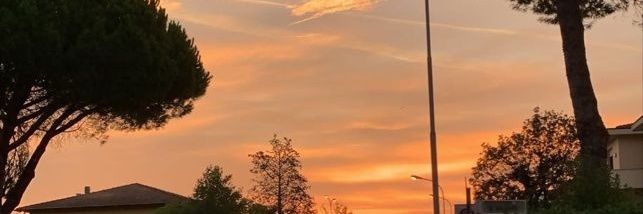 yeu || jualan kok ak || fastresp di wa sung dibio banner