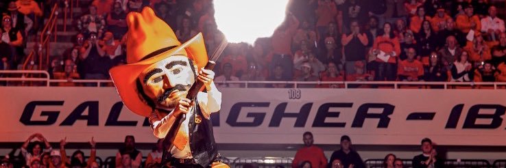 ostatechop's profile banner image