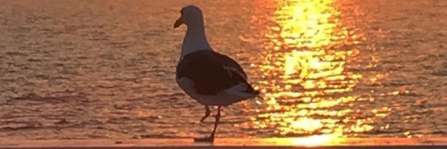 budask8s's profile banner image