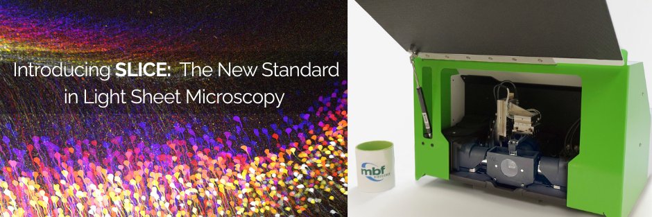 MBF Bioscience banner