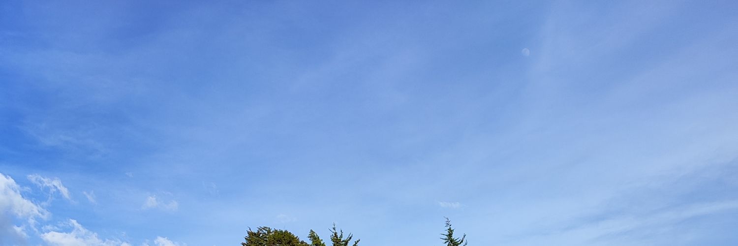 olimpop's profile banner image