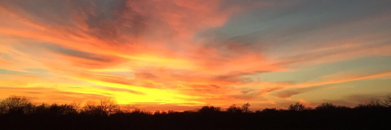 holley_watts's profile banner image
