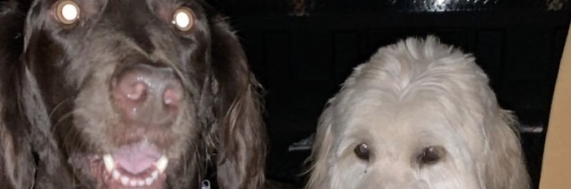 Kennerbean's profile banner image