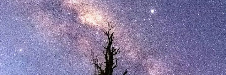 agustinalima_'s profile banner image