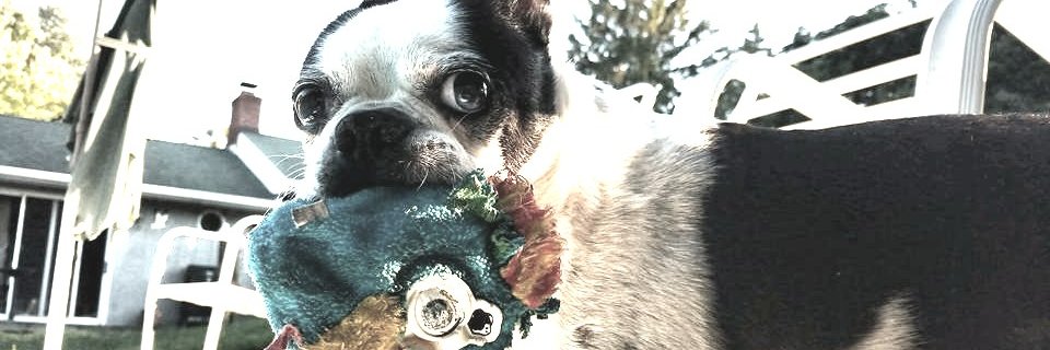 Codnugget777's profile banner image