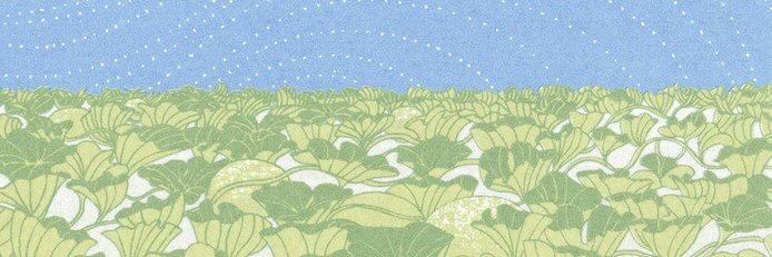 pinemily's profile banner image
