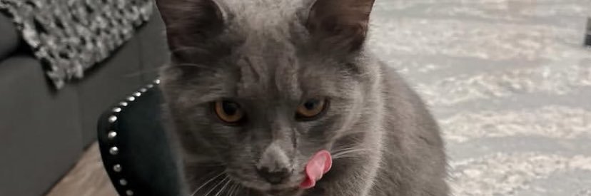 skylerluv_'s profile banner image