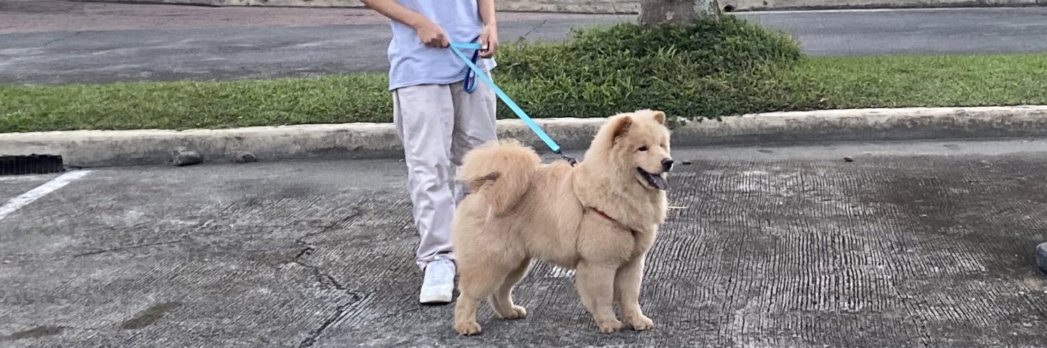patmrtnz_'s profile banner image