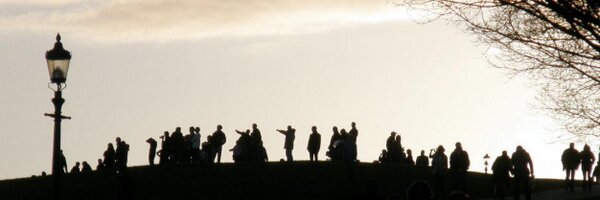 stormgrass Profile Banner