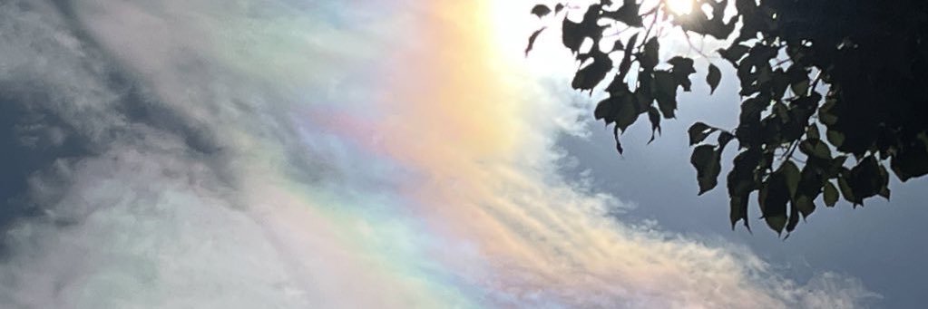 chippu017249's profile banner image