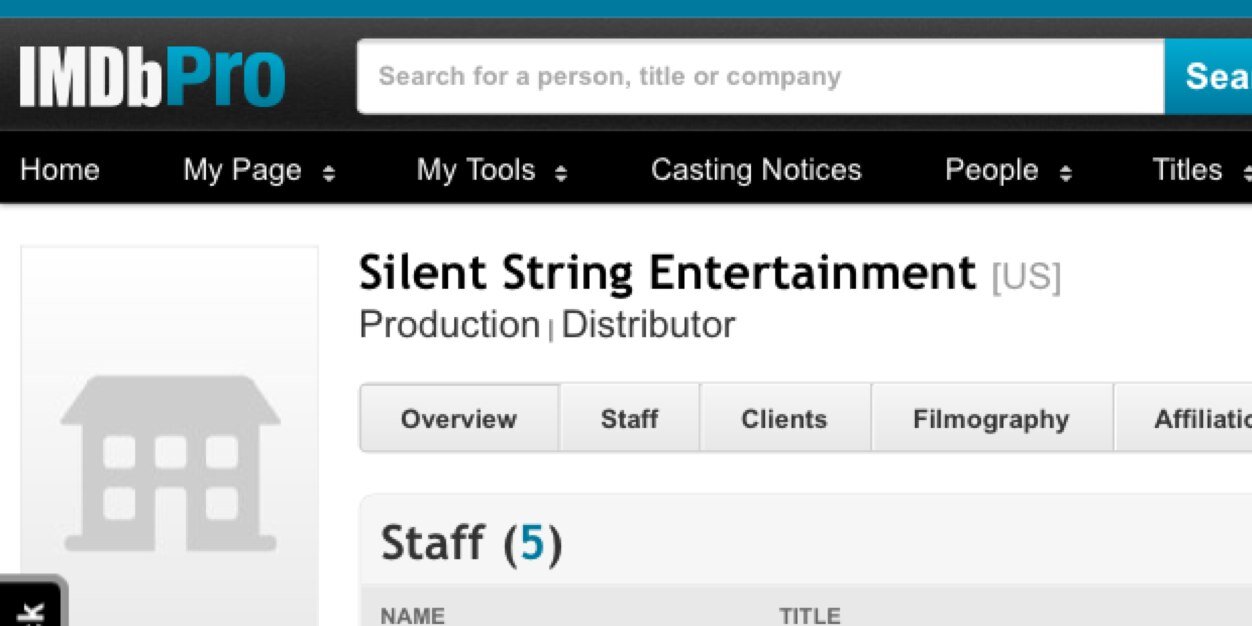 SilentStringEnt's profile banner image