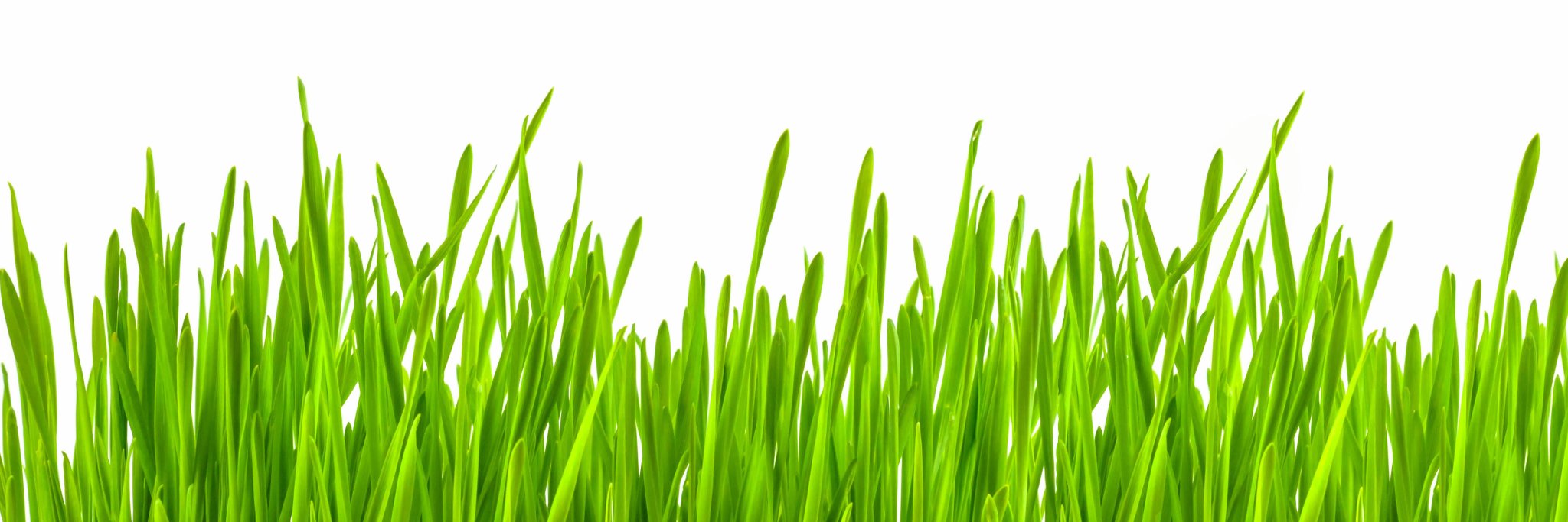 healthybegins's profile banner image